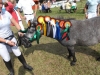 09_DSCF1286
