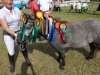 10_DSCF1287