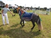 12_DSCF1289